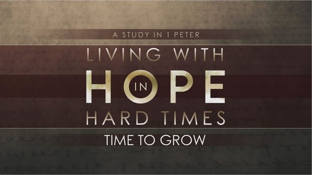 Time to Grow part 2